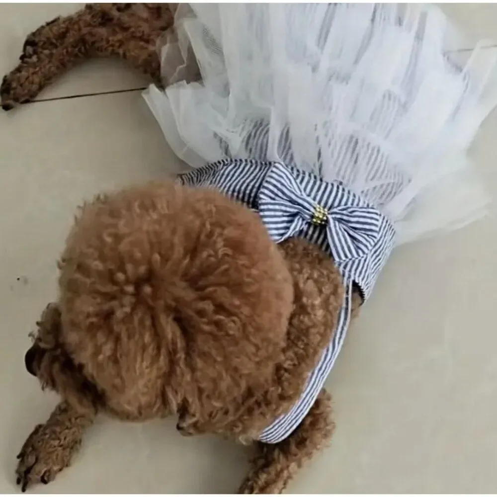 Dog Pet Cat Large‎ Blue Dress NWOT